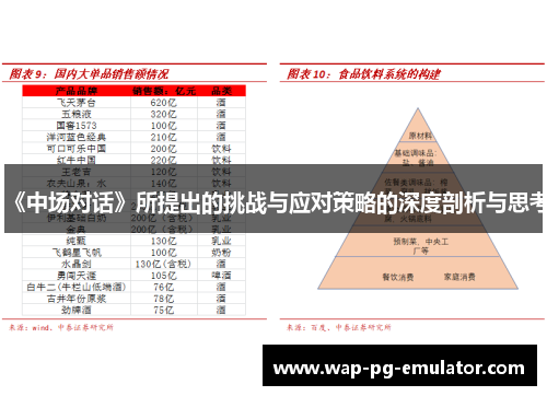 《中场对话》所提出的挑战与应对策略的深度剖析与思考