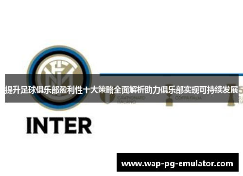 提升足球俱乐部盈利性十大策略全面解析助力俱乐部实现可持续发展