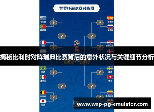 揭秘比利时对阵瑞典比赛背后的意外状况与关键细节分析