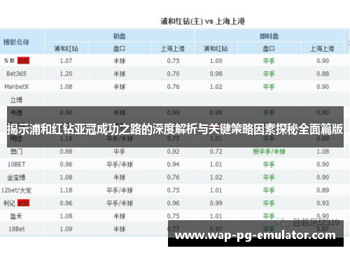 揭示浦和红钻亚冠成功之路的深度解析与关键策略因素探秘全面篇版