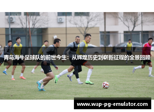 青岛海牛足球队的前世今生：从辉煌历史到崭新征程的全景回顾
