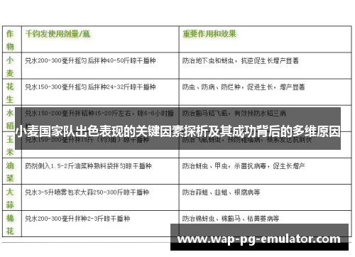 小麦国家队出色表现的关键因素探析及其成功背后的多维原因