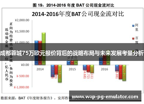 成都蓉城75万欧元报价背后的战略布局与未来发展考量分析