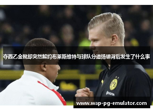 夺西乙金靴却突然解约布莱斯维特与球队分道扬镳背后发生了什么事