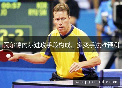 瓦尔德内尔进攻手段构成，多变手法难预测